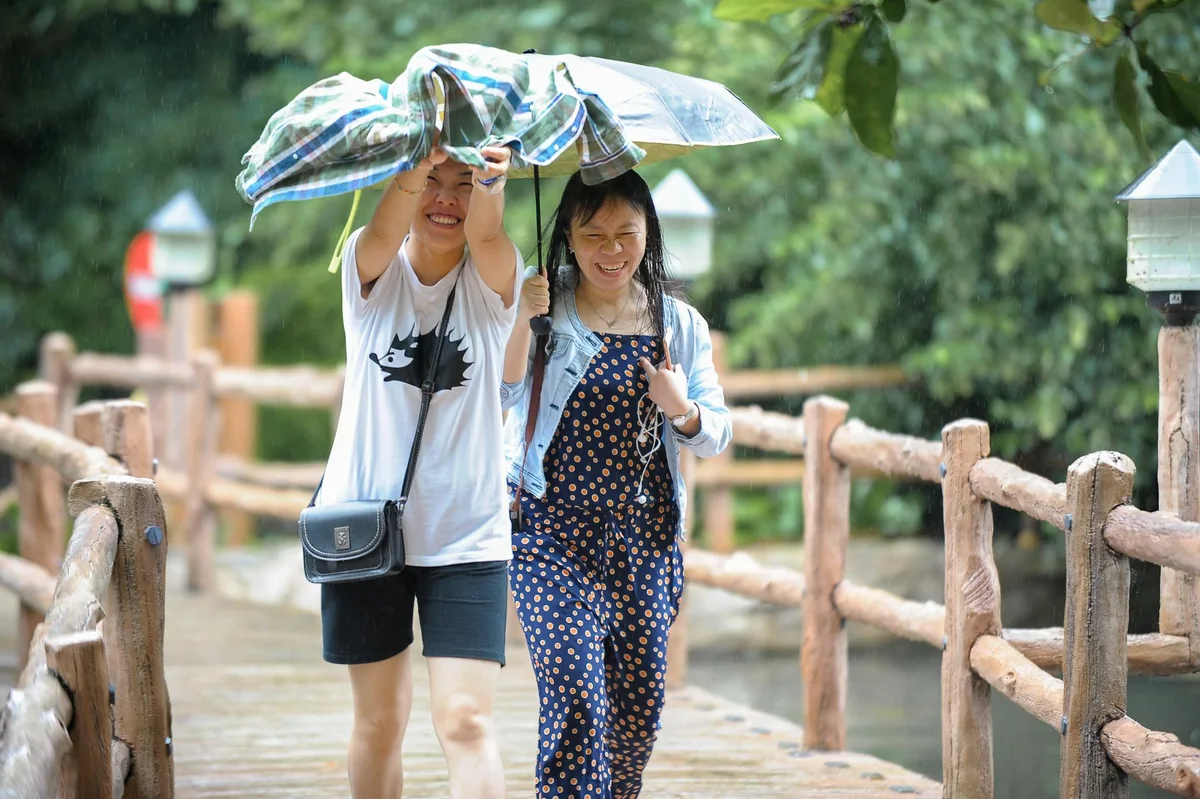 黑料网最新四类服务对象分类导览图